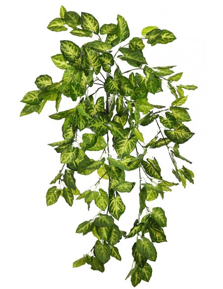 PLANTA SINGONIO COLGANTE 80CM