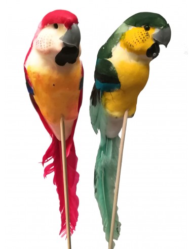 Pick papagallo H22/35CM 12 piezas