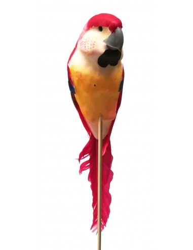 Pick papagallo H22/35CM 12 piezas