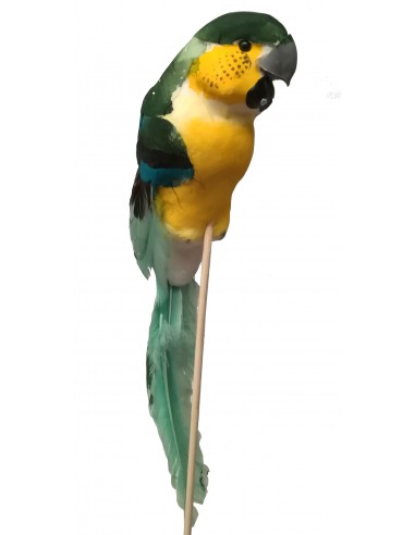 Pick papagallo H22/35CM 12 piezas
