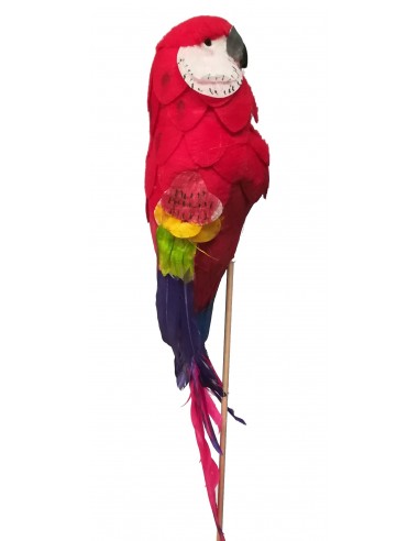 Pick papagallo grande 35/45 CM 6 piezas