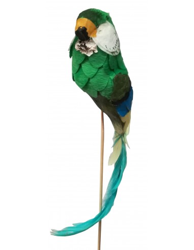 Pick papagallo grande 35/45 CM 6 piezas