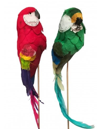 Pick papagallo grande 35/45 CM 6 piezas