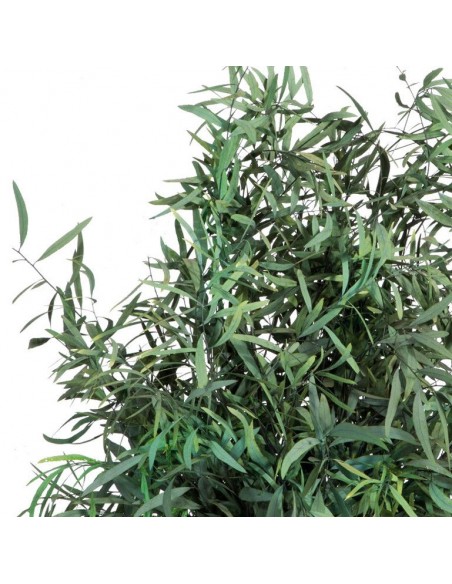 Nicoly preservado Verdissimo varios colores