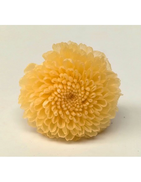 Crisantemo mini, Caja 8 unidades