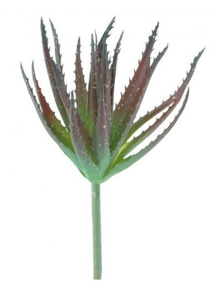 Succulenta de 37 cm