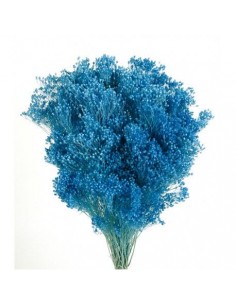 Brooms Preservado azul oscuro