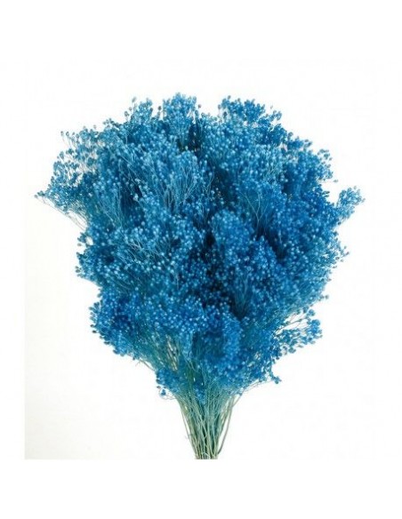 Brooms Preservado azul oscuro