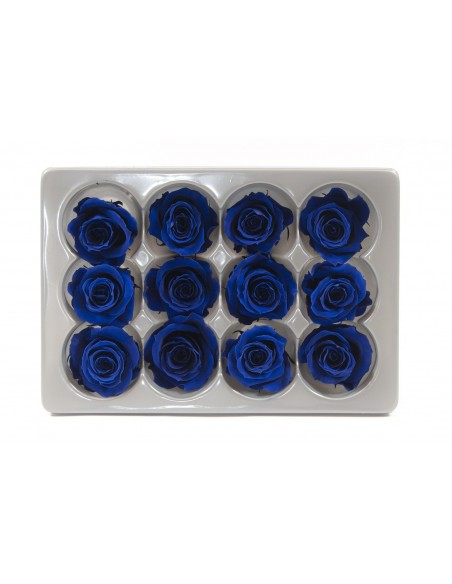 Rosa mini x12 azul oscuro