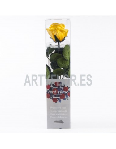 Rosa preservada (Liofilizada ) mini amarilla