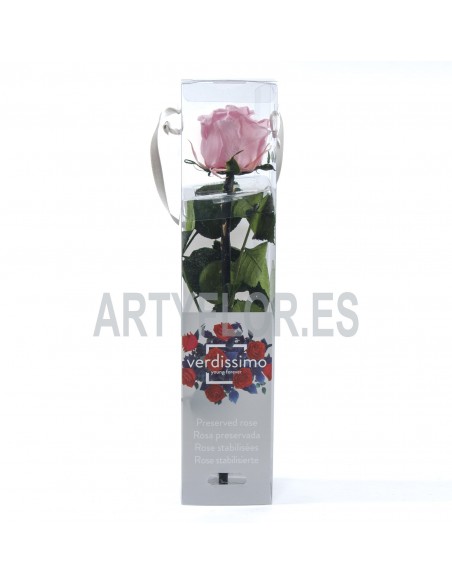 Estuche Rosa preservada (Liofilizada ) mini Rosa pastel