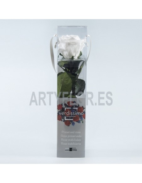 Rosa preservada (Liofilizada ) mini blanco