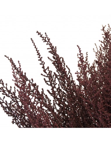 Stoebe 30/50 Bizanzce