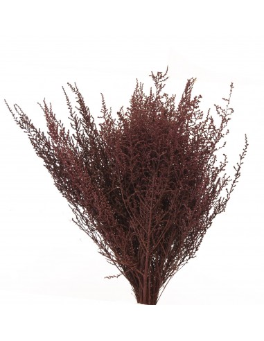 Stoebe 30/50 Bizanzce