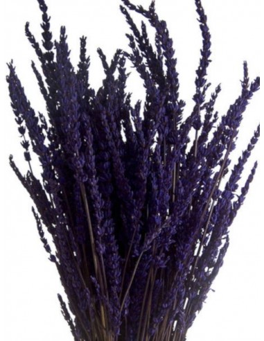 Lavanda preservada calidad Premium