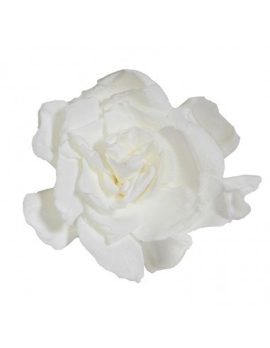 Gardenia Preservada color. Blanco 3Ud - 41013 -...