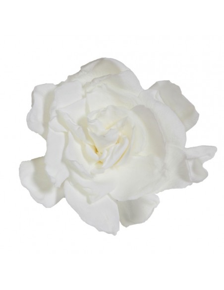 Gardenia Preservada color. Blanco 3Ud