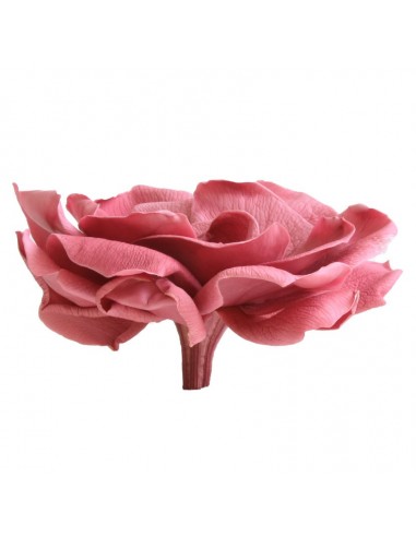 Pack Gardenia perservada