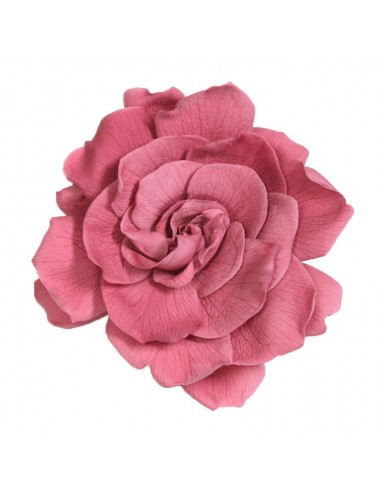 Pack Gardenia perservada