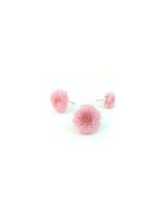 Crisantemo focus mini x12 rosa