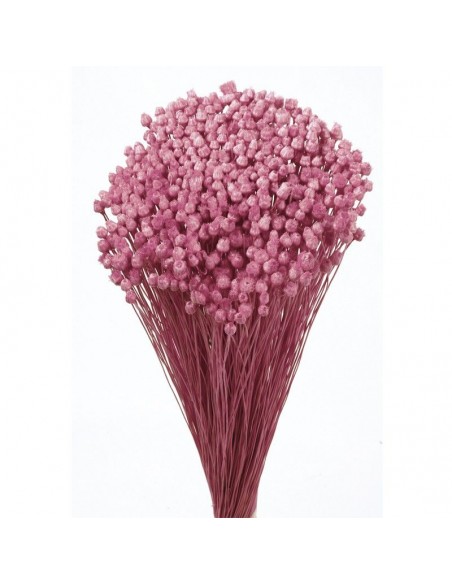 Jazilda color Rosa 50cm 100g