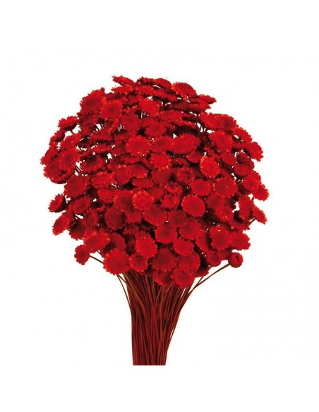 Margaret color Rojo 50cm 85g