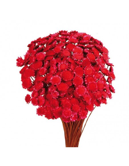 Margaret color Fucsia 50cm 85g