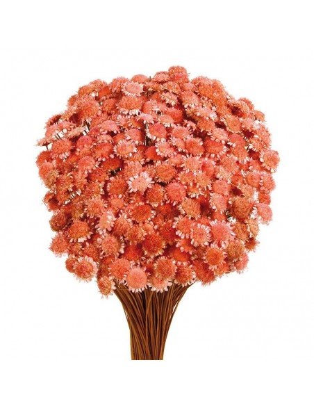 Margaret color Rosa pastel 50cm 85g
