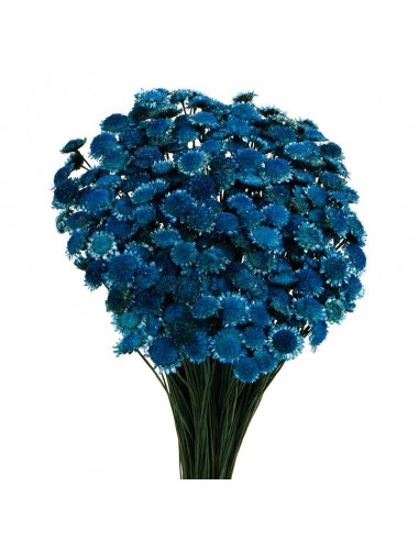Margaret color Azul mar 50cm 85g