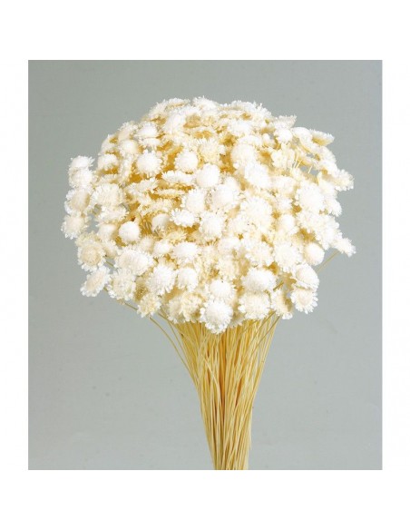 Margaret color Blanco 50cm 85g