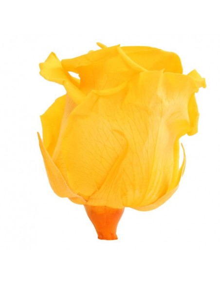 Rosa preservada standard amarillo