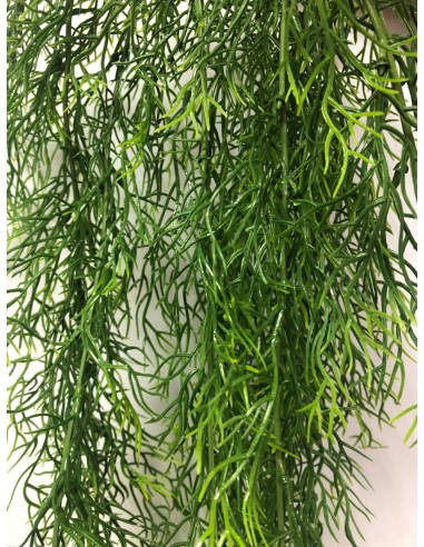 Colgante Tillandisia 70cm