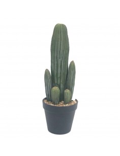 Cactus Eucalipto 36cm