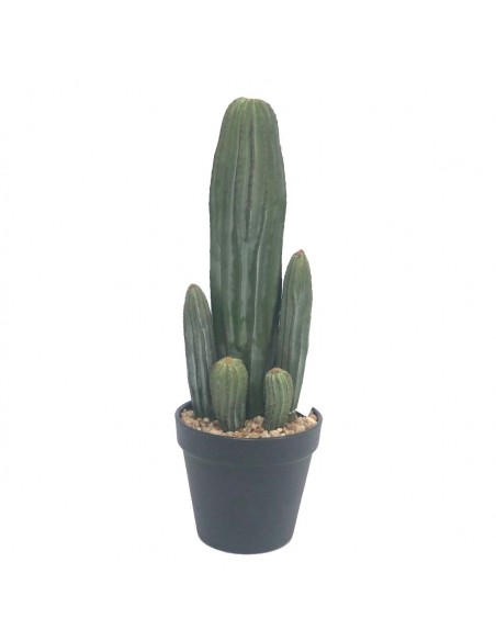 Cactus Eucalipto 36cm