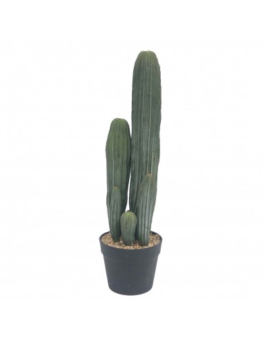 Cactus Eucalipto 58 cm