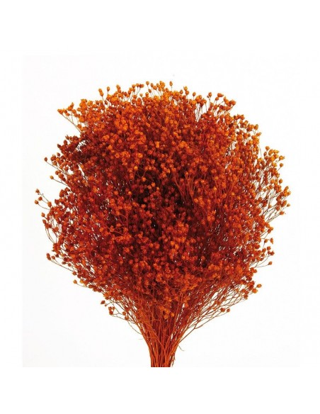 Ramo de broom preservado color naranja