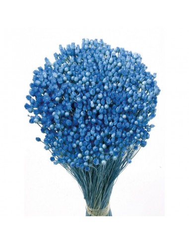 Jazilda color azul 50cm 100g