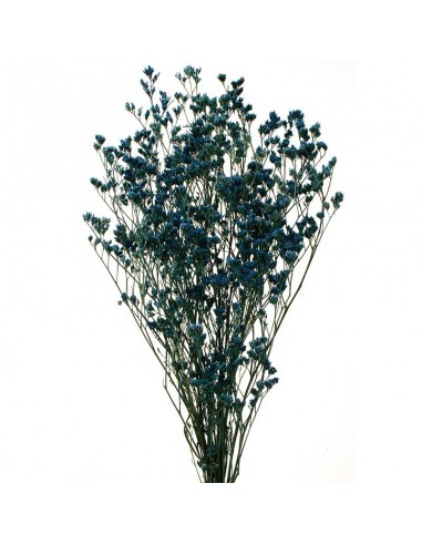 Limonium preservado color azul