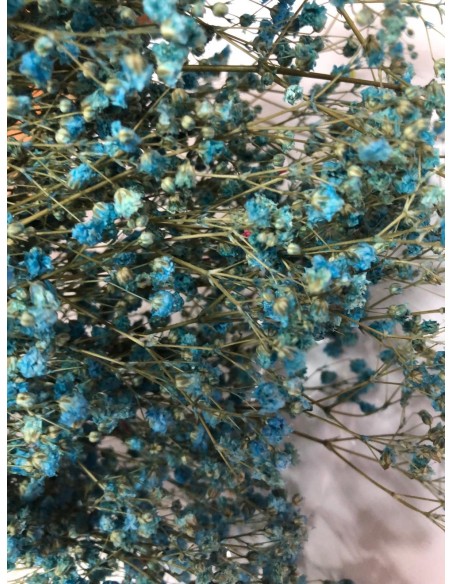 Gypsophila Paniculata preservada Azul