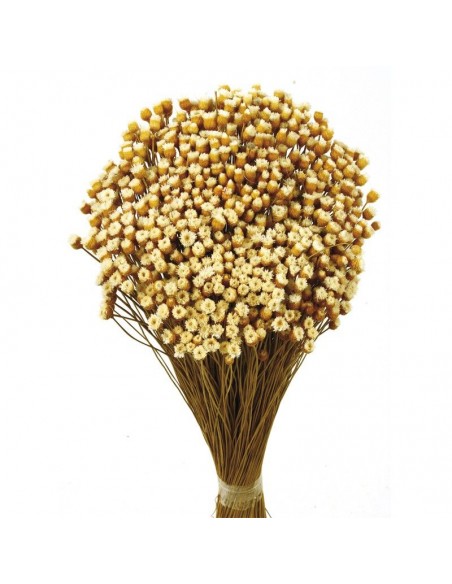 Jazilda color Natural 50cm 100g