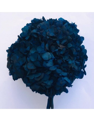 Hortensia preservada Azul Mar