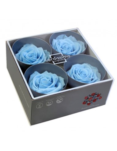 Cabeza de rosa preservada premium Azul cielo - azul hawaiano