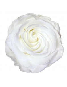 Rosa Premium blanca cabeza x4