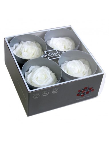 Rosa Premium blanca cabeza x4