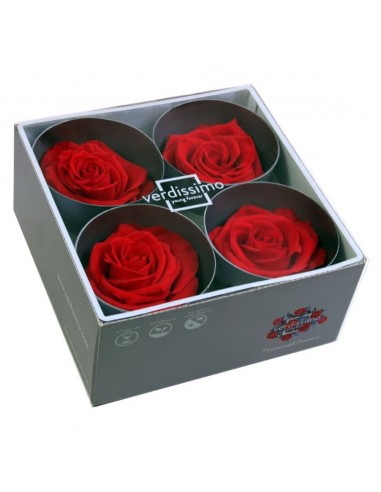 Cabeza de rosa preservada premium roja