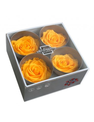 Rosa preservada Premium Amarillo Calido x4 UD