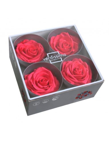 Cabeza de rosa preservada premium Lila Caja 4 Ud