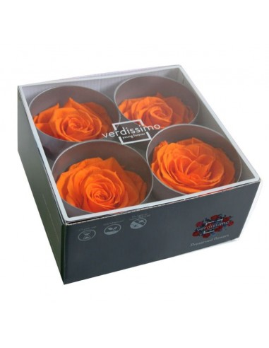 Cabeza de rosa preservada premium Lila Caja 4 Ud