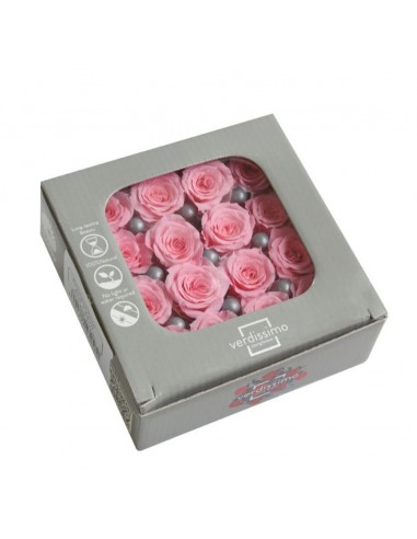 Rosa preservada mini Princes Rose - color Bridak pink