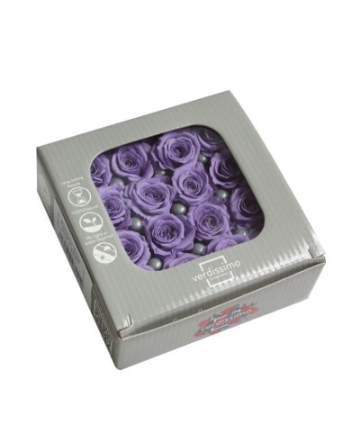 Rosa preservada mini Princes Rose - color Dark pink